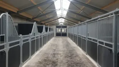 Moderní přístřešek pro koně s kovovými boxy a světlou střechou.