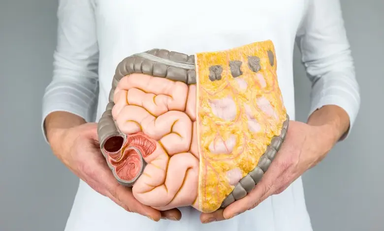 Model lidského trávicího ústrojí držený v rukou.