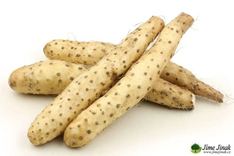 Čerstvé čínské jamy s typickým vzorem skvrn na kůře.