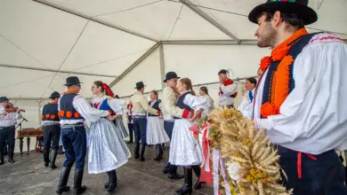 Tradiční tanečníci v národních kostýmech na dožínkách.
